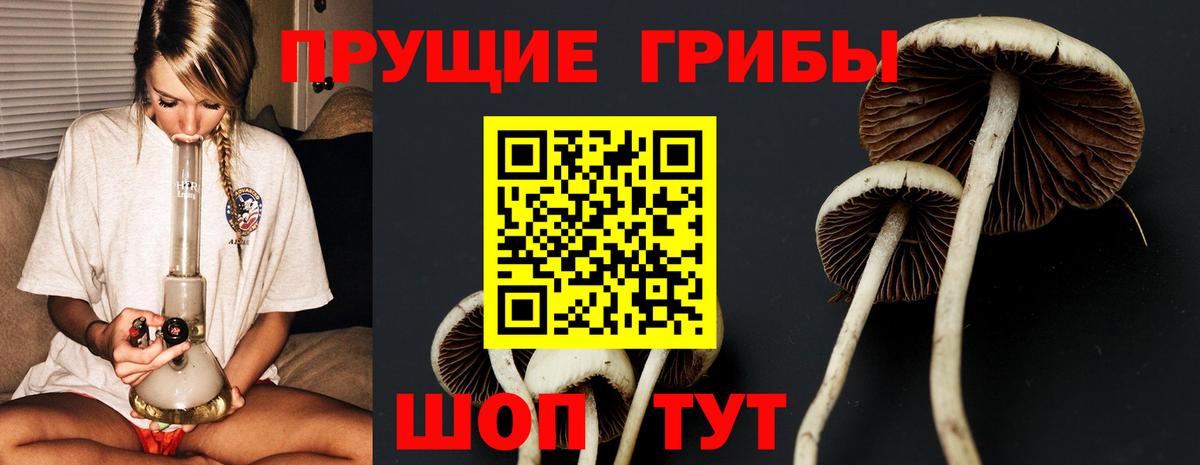 Псилоцибиновые грибы ЛСД  Галлюциногенные грибы Psilocybine cubensis  купить закладку  Ревда  Вход с VPN 